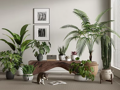 Interior Decor With Bonsai and Potted Plants Featuring Various Greenery Cat Wall Art and Window 3d model