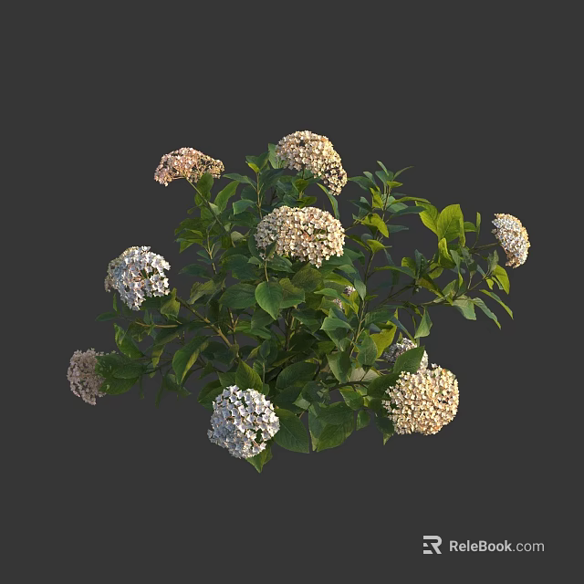 Vibrant White and Pink Cluster Flowers with Fresh Green Leaves in Lush Garden Setting 3d model 