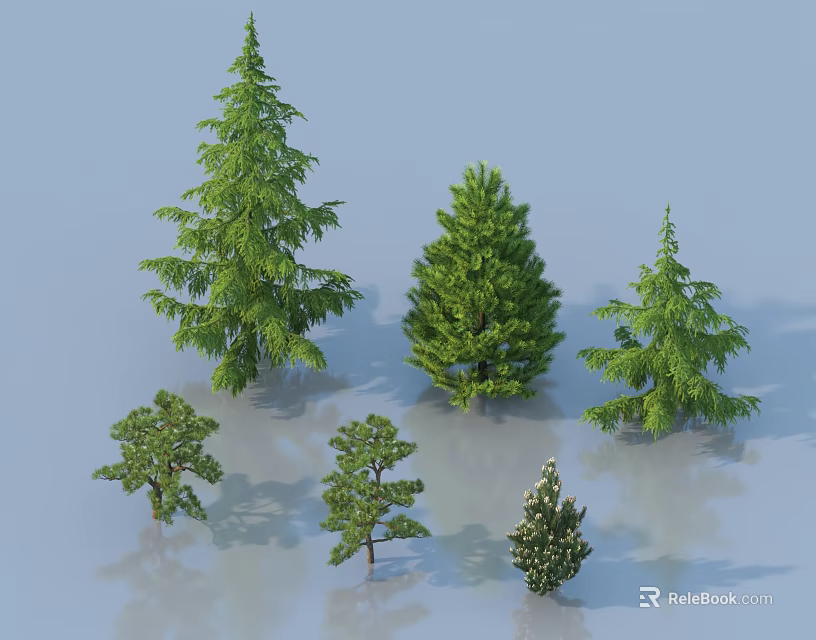 Different Arbor Tree Varieties with Distinct Shapes and Green Foliage 3d model