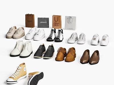 Stylish Shoes In Different Styles With Shopping Bags And Various Designs 3d model