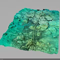 Underwater Seabed Terrain With Green Water Coral Formations And Rocky Outcrops