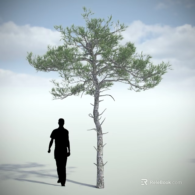 Tall Green Arbor with Man Silhouette Against Sky and Clouds 3d model 