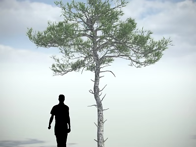 Tall Green Arbor with Man Silhouette Against Sky and Clouds 3d model