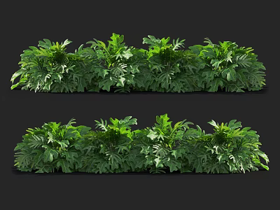 Lush Green Tropical Foliage In Two Rows Of Dense Decorative Plants 3d model