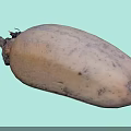 Fresh Whole Lotus Root With Natural Skin And Raw Organic Texture