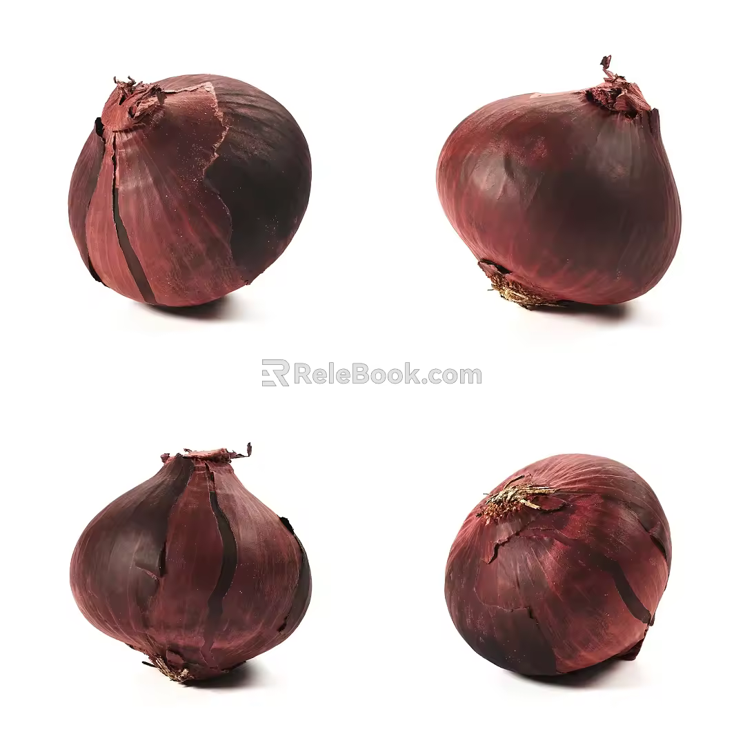Modern Onion 3d model