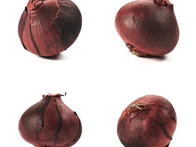 Four Fresh Red Onions Displaying Vibrant Purple Skin Isolated On White Background 3d model