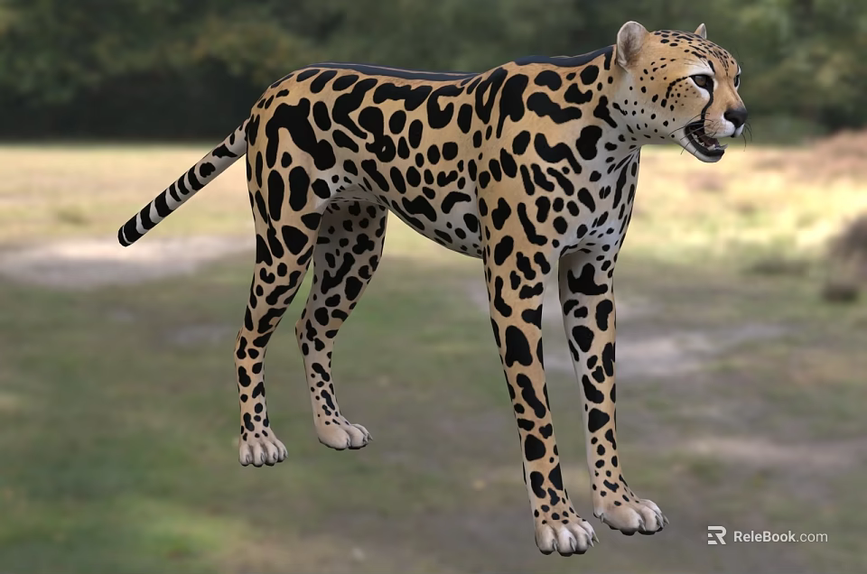 Leopard Patterned Reptile Standing On Green Grass With Trees In Background 3d model