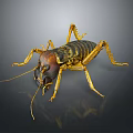grasshopper insect cartoon locust animation locust anime locust anime game character 3d model