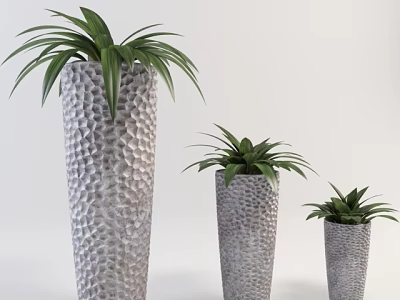 Bonsai Potted Plants with Three Different Sizes Gray Textured Pots and Green Long Leaves 3d model
