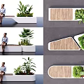 Sleek Modern Outdoor Chair Design With Wooden Seat White Frame And Green Plants