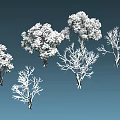 Various Arbor Trees With Lush Foliage And Bare Branches Against Blue Background