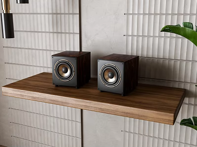 Modern Wooden Speakers on Floating Shelf with Vertical Textured Wall and Green Plant 3d model