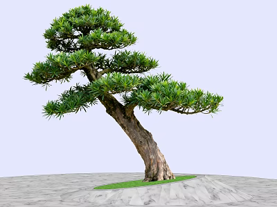 Unique Shaped Arbor With Curved Trunk And Lush Green Leaves On Gray Ground 3d model