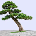 Unique Shaped Arbor With Curved Trunk And Lush Green Leaves On Gray Ground