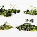 Natural Lush Green Plant Displays With Diverse Foliage And Decorative Rocks