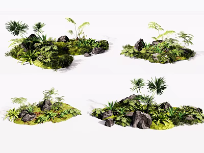 Natural Lush Green Plant Displays With Diverse Foliage And Decorative Rocks 3d model
