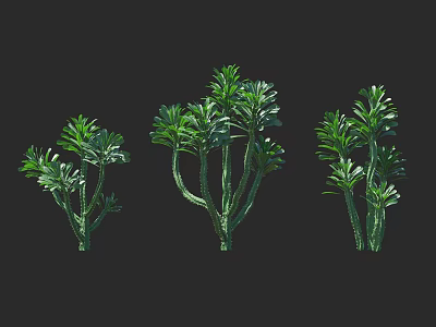 Green Leafy Plants With Multiple Branches And Lush Foliage In Three Varieties 3d model