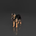 Black And Tan German Shepherd Puppy Standing On Shiny Floor With Perked Ears And Open Mouth
