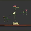 Pink and Yellow Lotus Flowers with Green Lily Pads in Octagonal Clear Water Pond