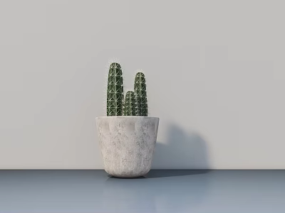 Cactus Bonsai Potted Plant in White Stone Pot with Light Colored Wall and Smooth Tabletop 3d model