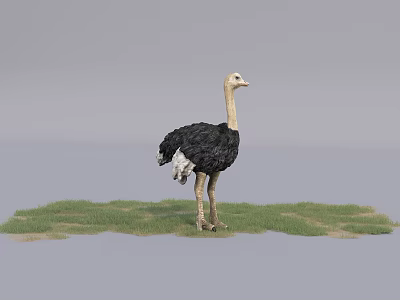 Scaly Reptile Standing On Green Grass With Natural Outdoor Habitat 3d model