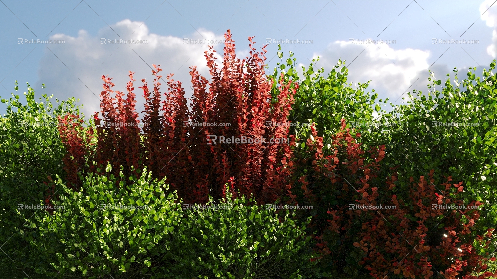 Modern Landscape Shrub Shrub Plant Combination Natural Landscape 3d model