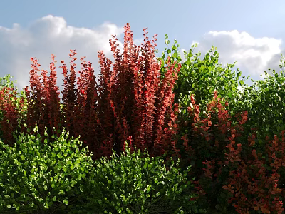 Vibrant Red and Green Bushes Growing Under Blue Sky With White Clouds 3d model