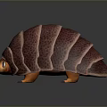 Cute Cartoon Armadillo Character With Textured Shell Orange Face And Claws