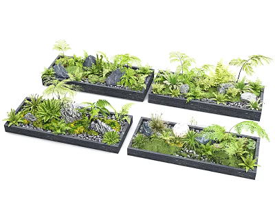 Rectangular Black Flower Pots With Green Plants Ferns And Decorative Stones 3d model