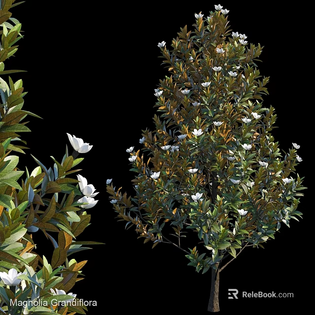 Natural Green Plant And White Flower Decorative Ornament Set For Home Decor 3d model 