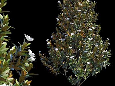Natural Green Plant And White Flower Decorative Ornament Set For Home Decor 3d model