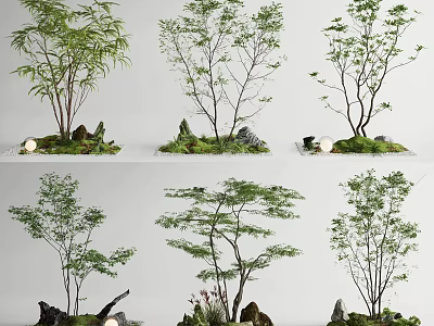 Modern Green Plant Decorative Arrangement With Mossy Rocks Small Trees And Natural Stones 3d model