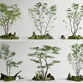 Modern Green Plant Decorative Arrangement With Mossy Rocks Small Trees And Natural Stones
