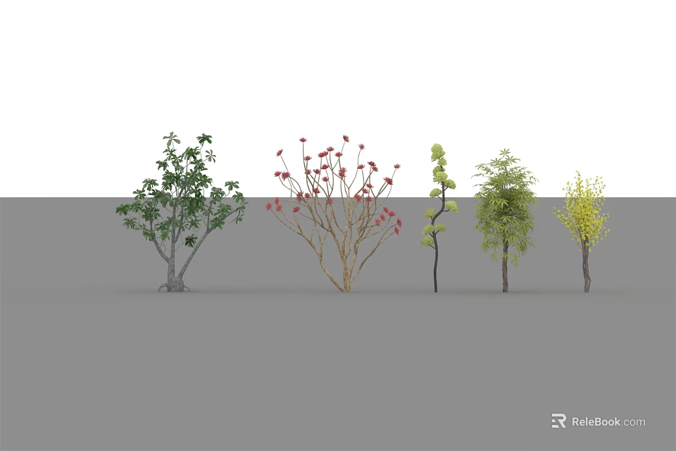 Five Different Types of Trees with Various Leaves and Flowers in Garden 3d model 