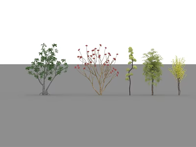 Five Different Types of Trees with Various Leaves and Flowers in Garden 3d model