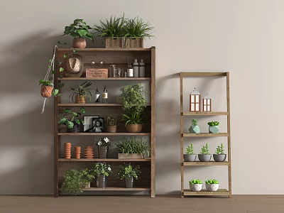 Indoor Multi Tiered Plant Stands With Potted Plants And Decorative Ornaments 3d model