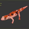 Lizard Anime Lizard Chameleon Cartoon Lizard Reptile Cold Blooded Animal Reptile Class 3d model