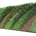 Lush Living Plant Wall With Green Foliage Red Flowers And Layered Design For Decoration