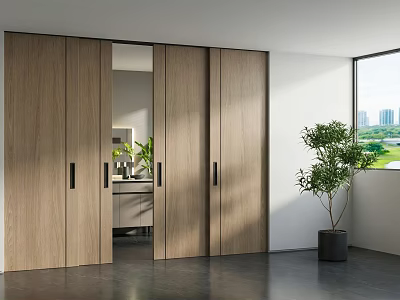 Modern Light Wood Sliding Doors Open In Bright Interior With Green Plant And Window 3d model