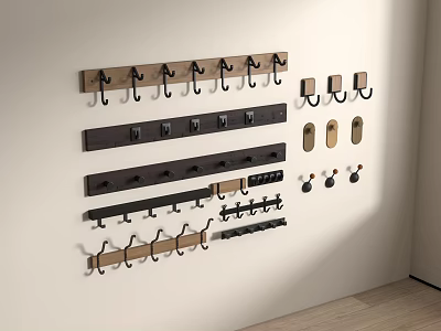 Various Style Wall Hooks Mounted On White Wall With Wood And Metal Designs 3d model