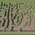 Outdoor Play Equipment Featuring Green Hedge Maze For Kids Fun Exploration Activity