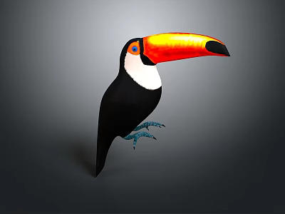 Studio Render of Toucan Bird with Vibrant Orange Beak Black Body and Blue Claws 3d model