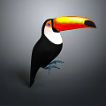 Studio Render of Toucan Bird with Vibrant Orange Beak Black Body and Blue Claws