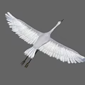 Graceful White Flying Bird with Spread Wings Against Gray Sky 3d model