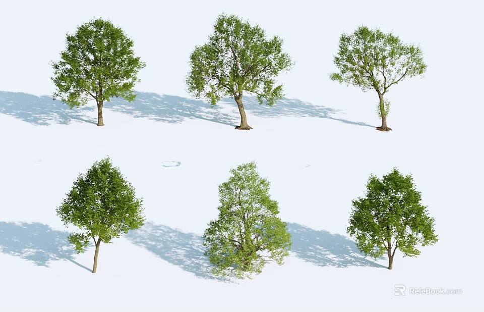 Various Green Leafy Trees With Different Canopy Shapes And Shadows On White Background 3d model