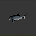 Realistic Spotted Blue And White Shark With Open Mouth Sharp Teeth Fins And Tail
