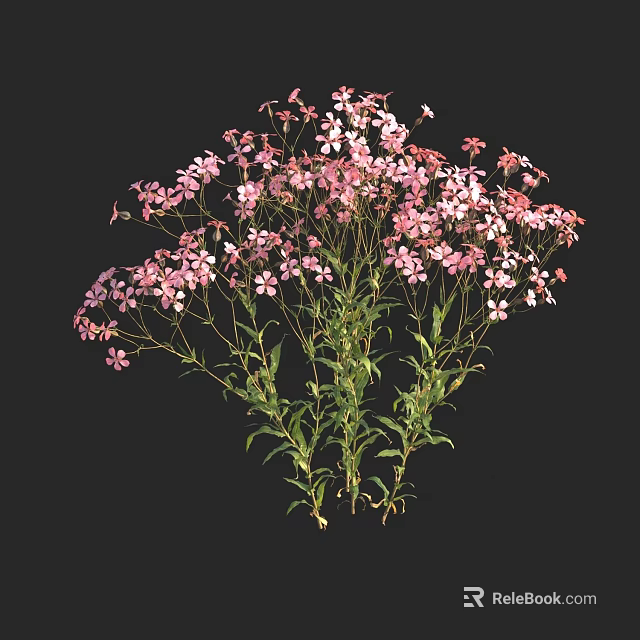 Beautiful Pink Small Flowers with Green Stems and Lush Leaves in Cluster 3d model 