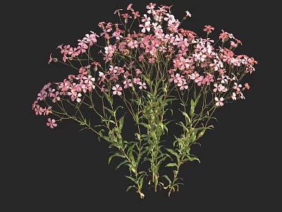 Beautiful Pink Small Flowers with Green Stems and Lush Leaves in Cluster 3d model