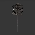 Black Rose with Stem and Leaves on Dark Background with Reflection 3d model